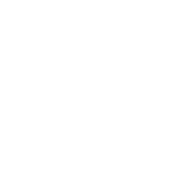 Minehut server icon