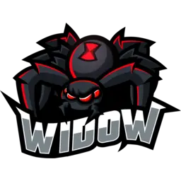 Widow Network server icon